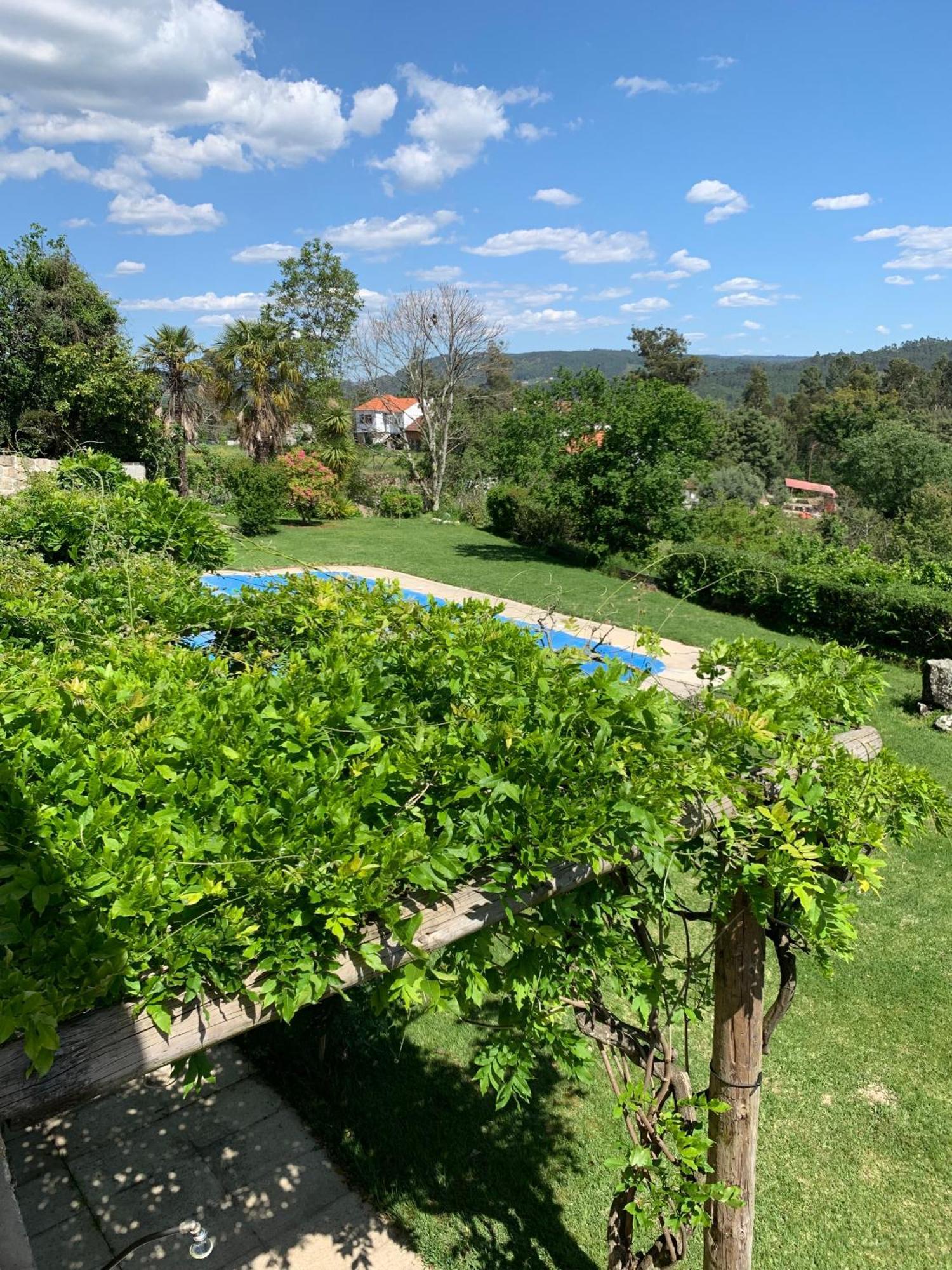 Quinta De Canhoes São Pedro do Sul Extérieur photo
