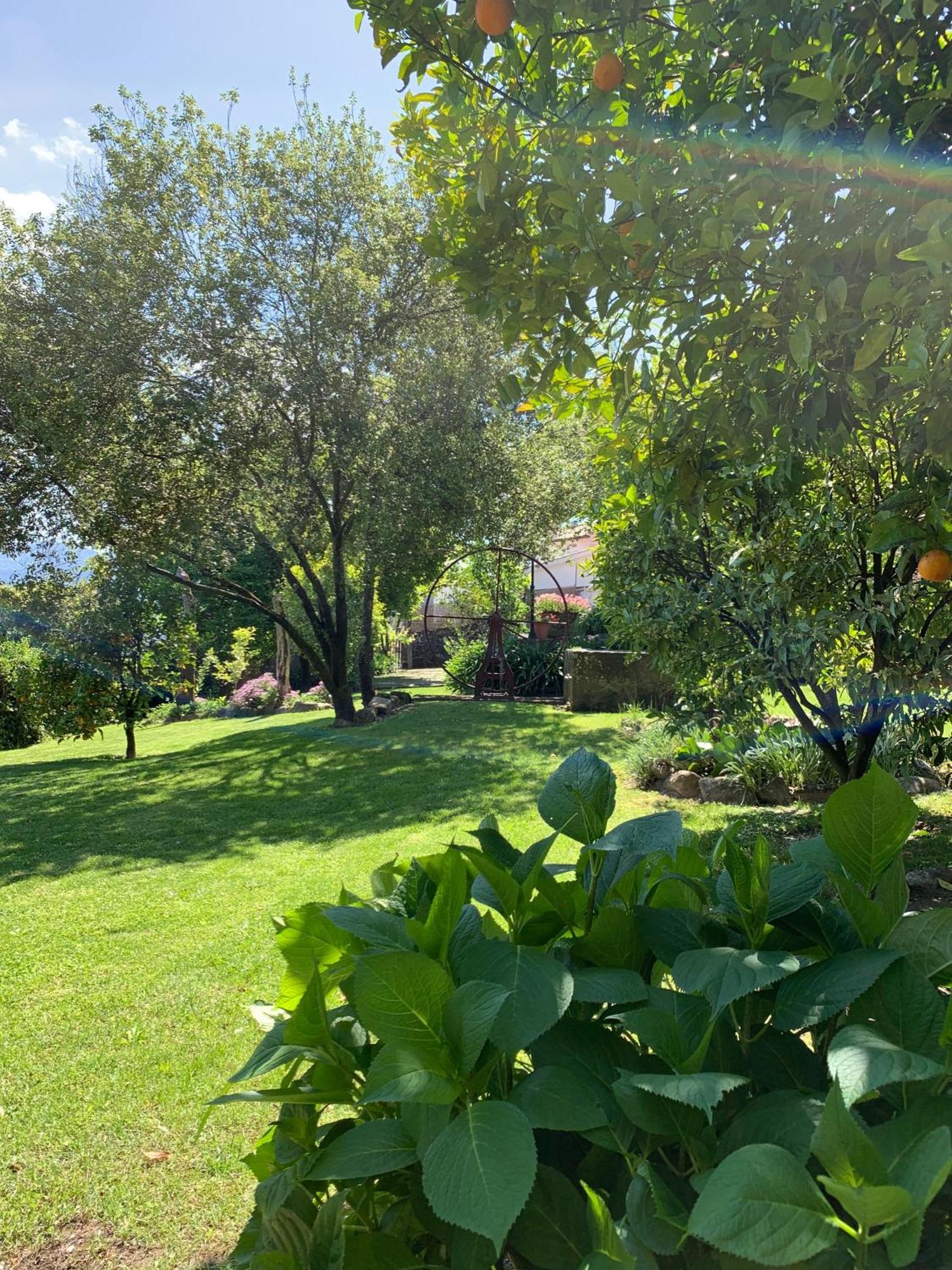 Quinta De Canhoes São Pedro do Sul Extérieur photo