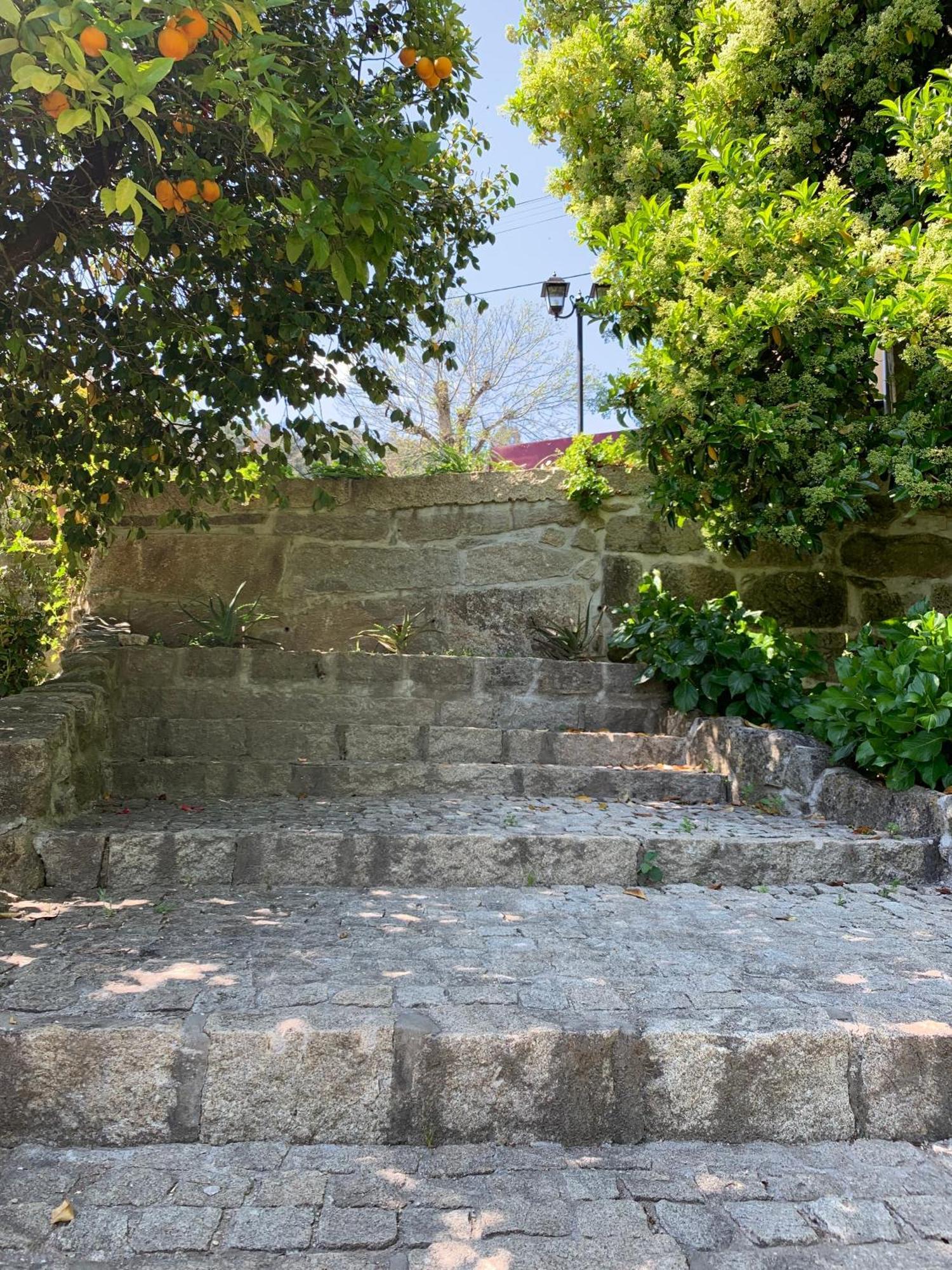Quinta De Canhoes São Pedro do Sul Extérieur photo