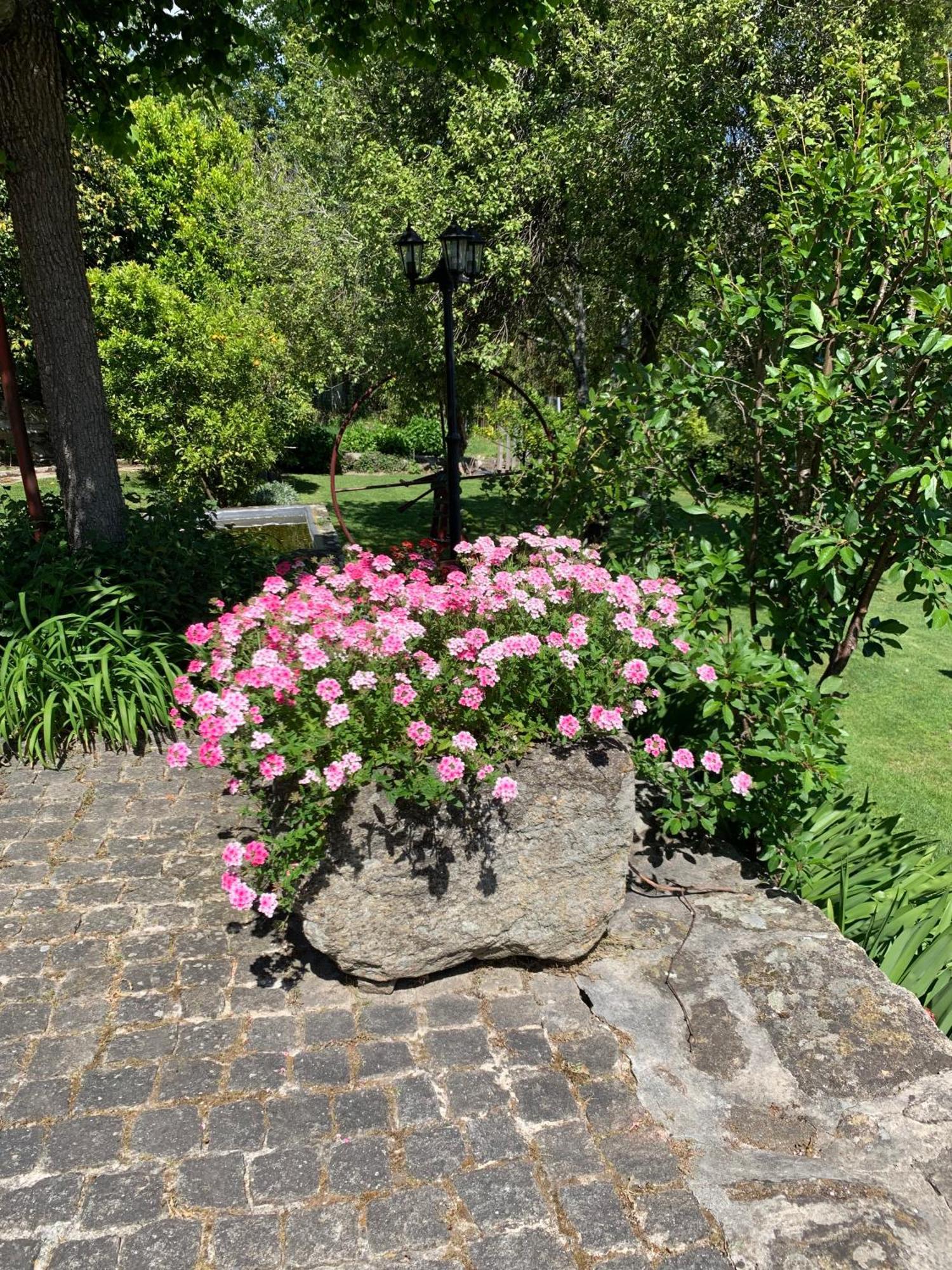 Quinta De Canhoes São Pedro do Sul Extérieur photo